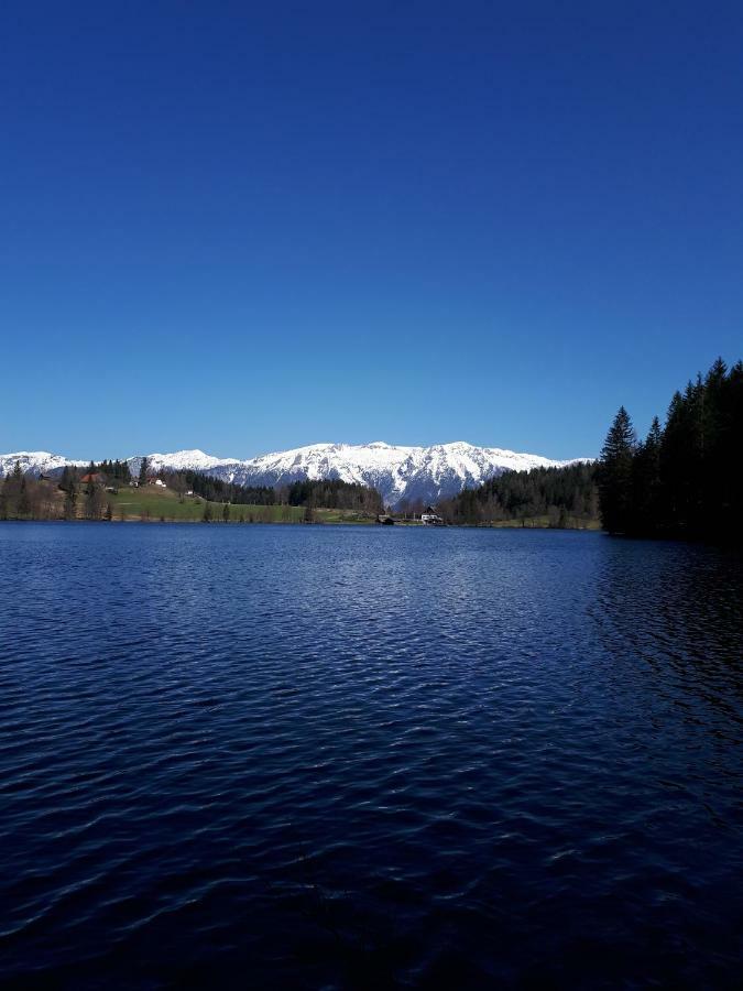 Ferienbungalow Mountain View Wood Spital Am Pyhrn Luaran gambar