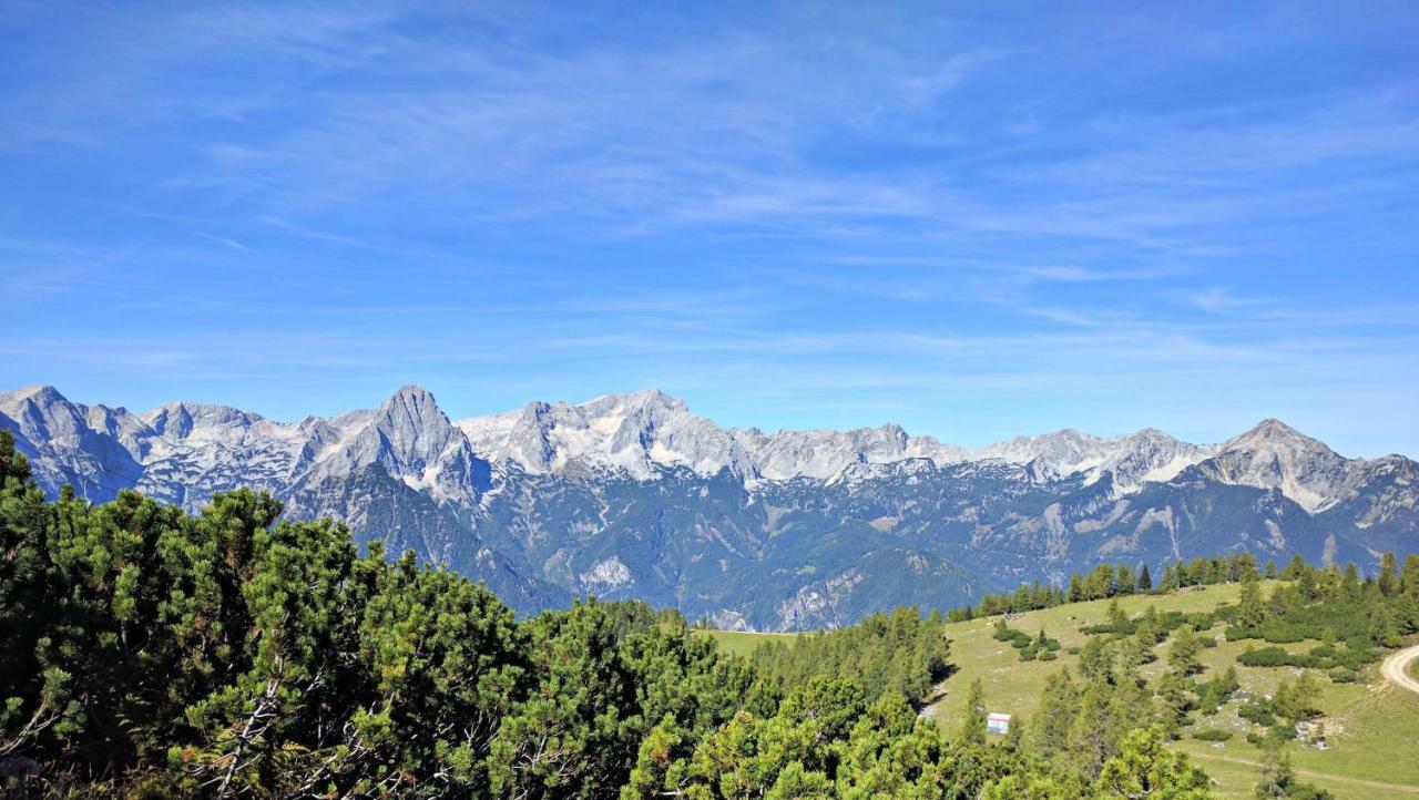 Ferienbungalow Mountain View Wood Spital Am Pyhrn Luaran gambar